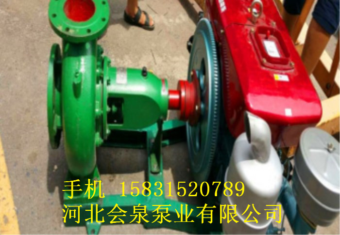 會(huì)泉IS泵IS化工泵離心泵IS(R)65-40-315A