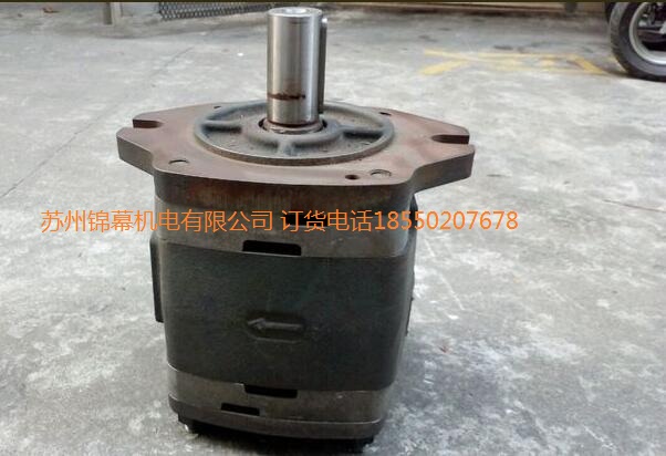 IPVP6-100-101德國VOITH 福伊特齒輪泵，Sensors振動傳感器