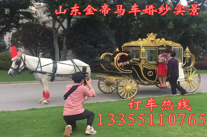 上海什么地方有賣旅游用的馬車