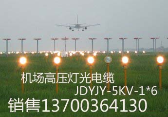 陜西機(jī)場通訊電纜TPYV22國標(biāo)生產(chǎn)，