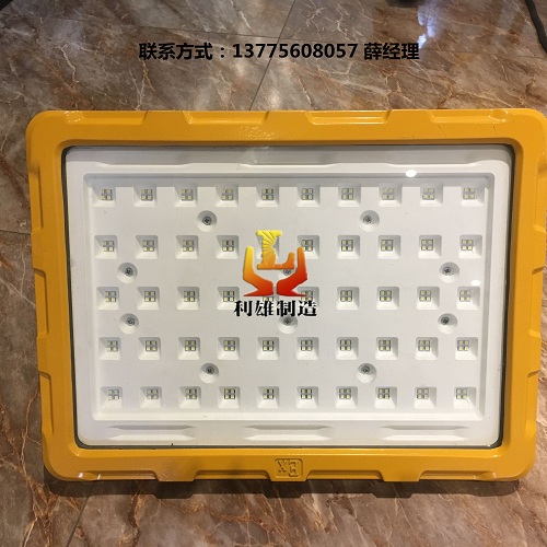 GCD817 LED防爆投（泛）光燈 led防爆投泛光燈長什么樣