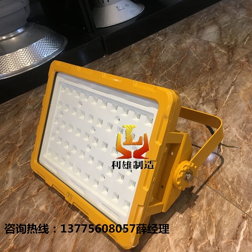 GCD817 LED防爆投（泛）光燈 led防爆投泛光燈價格/圖片/廠家批發(fā)