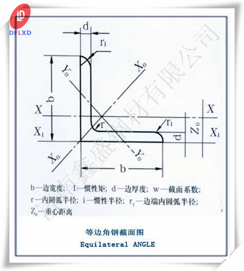 池州角鋼廠&24小時(shí)報(bào)價(jià)團(tuán)隊(duì)