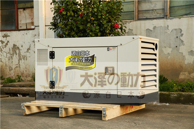 大澤動(dòng)力水冷10kw柴油發(fā)電機(jī)