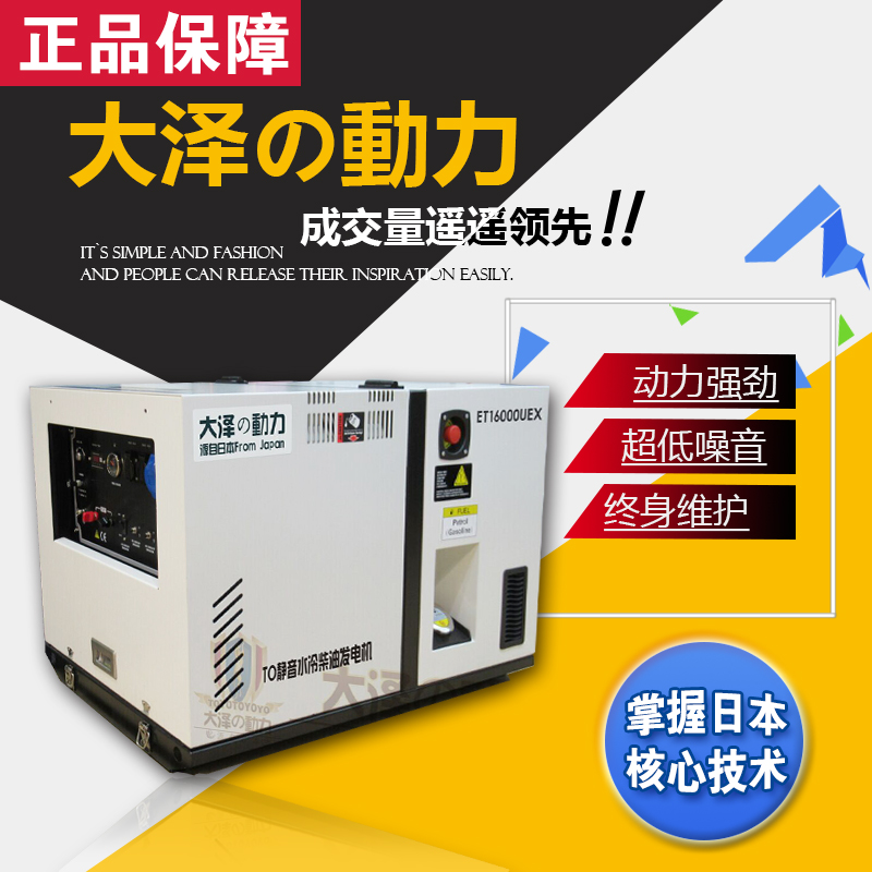 大澤動(dòng)力水冷12kw柴油發(fā)電機(jī)