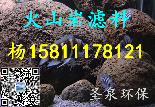 》歡迎光臨“新鄭市火山巖石材》、“新聞報(bào)道”》——最新資訊歡迎您!新鄭市