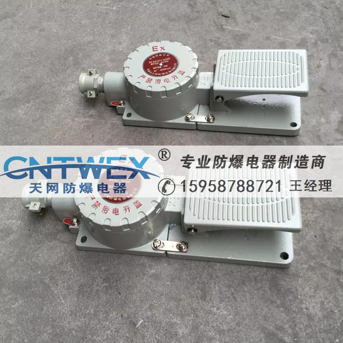 DLXK-DYT-D防爆腳踏開關(guān)15A 防爆踏板開關(guān)220V/380V 廠家直銷