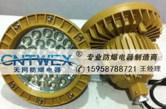 LED픟BZD130-30W 2.5׷LEDo(h)ڟm