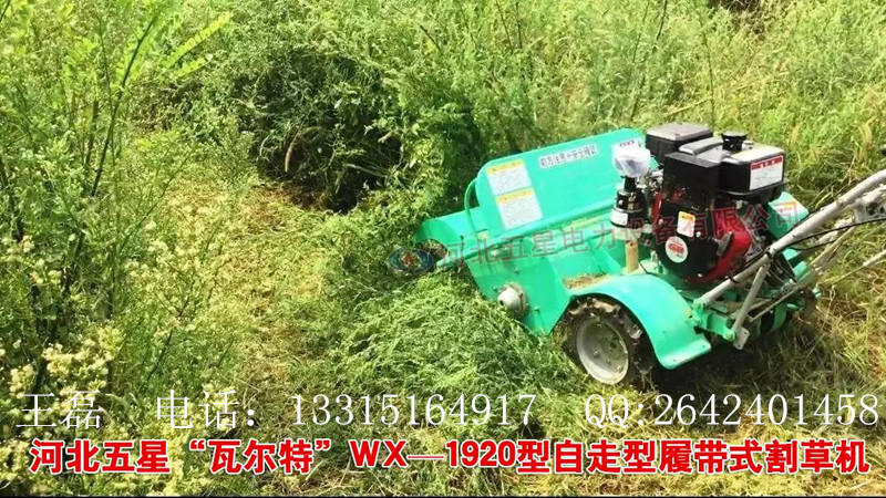 河南哪里供應(yīng)堤防除草機(jī)_黃河堤防專用除草機(jī)_2018年新型堤防設(shè)備