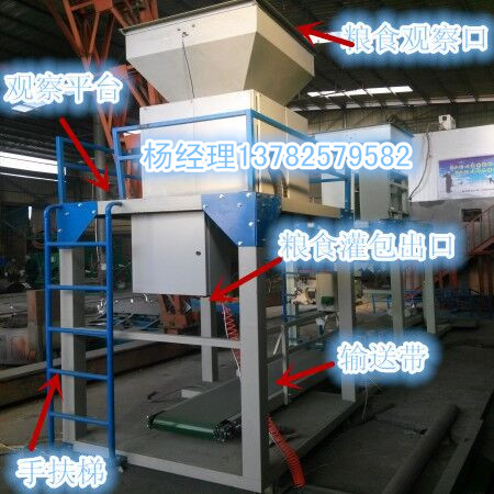 定量裝袋機(jī)-稱重包裝機(jī)-自動(dòng)封口定量包裝機(jī)