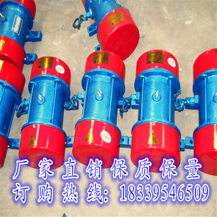 振動(dòng)平臺(tái)上的振動(dòng)電機(jī)有幾個(gè) 電機(jī)那里有賣的