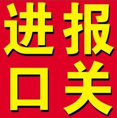 香港進(jìn)口膠水到上?？爝f公司