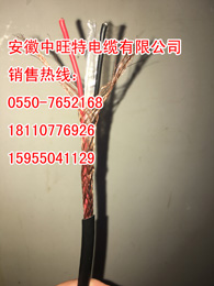 廠家直銷 ia-SC-G-VVP2x1.5耐高溫S型補(bǔ)償電纜熱電偶專用補(bǔ)償導(dǎo)線