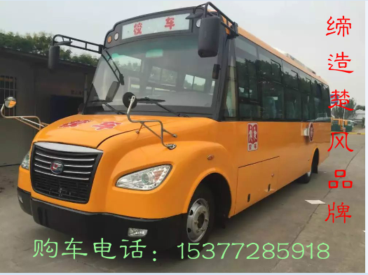 楚風(fēng)校車56座小學(xué)生校車多少錢一輛？