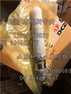 康明斯供應(yīng)康明斯QSK60噴油器 4954374【國(guó)內(nèi)現(xiàn)貨】