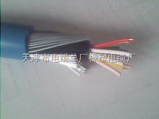 訂做 ZR-DJYP3VP3阻燃計(jì)算機(jī)電纜