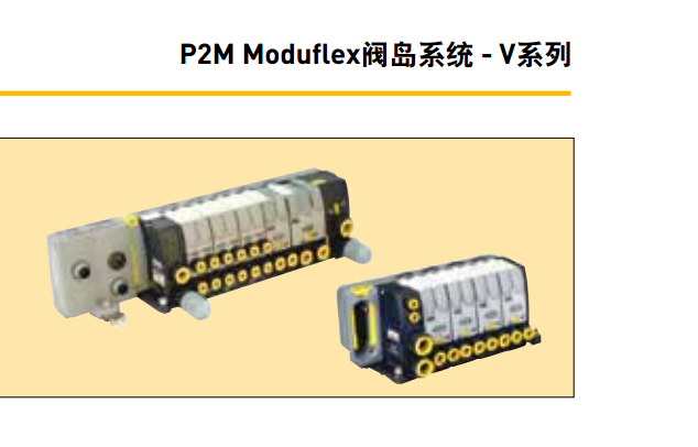 ɿparker P2M Moduflexyuϵy(tng)VϵP2M1V4ES2CV