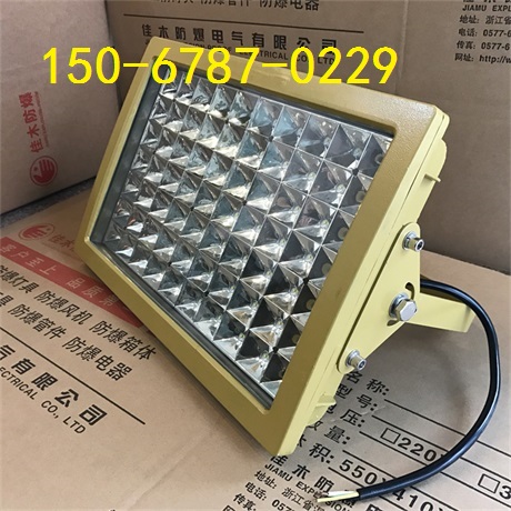 IP65泛光燈燈具NFC9710-70W LED泛光燈