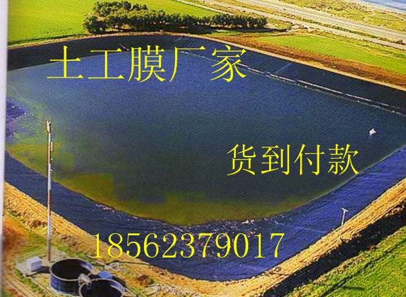 浙江防滲膜廠家&0.75mm價格