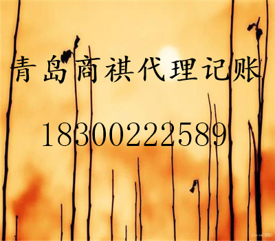 專業(yè)公司注冊、代理記賬、財(cái)稅咨詢