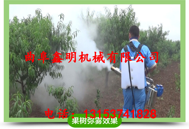 農(nóng)用蔬菜噴藥機  大功率汽油噴霧機  高壓動力噴霧機