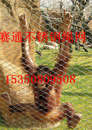 娛樂(lè)設(shè)施防護(hù)網(wǎng) 動(dòng)物園籠舍廠家直銷