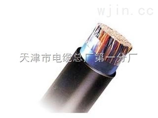 如何選擇RVVZ- 1×50電纜廠商