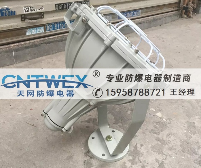 深照型防爆工廠燈HRT51-L250(吸頂式)250W防爆投光燈