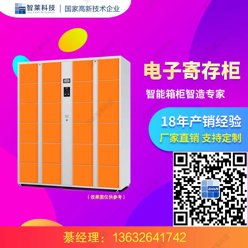 電子寄存柜品牌 廠家直銷 可定制