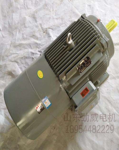 供應(yīng)YEJ-180L-4極22KW電磁制動(dòng)三相異步