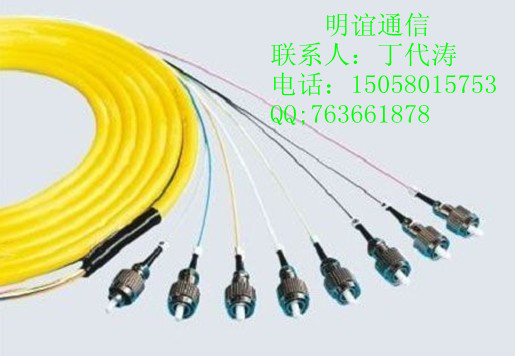 l(f)[0.2-0.3]FCβw-12оFCβw-8оβw