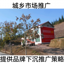 孝感墻體寫大字安陸市墻體掛布廣告應城市街道彩繪