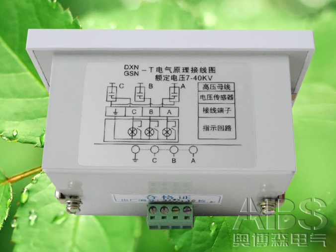 GSN1-10戶(hù)內(nèi)高壓帶電顯示器 GSN1-10帶電顯示器價(jià)格