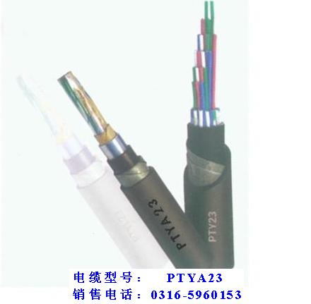 礦用監(jiān)測(cè)電纜PUYVRP-1×2×7/0.37