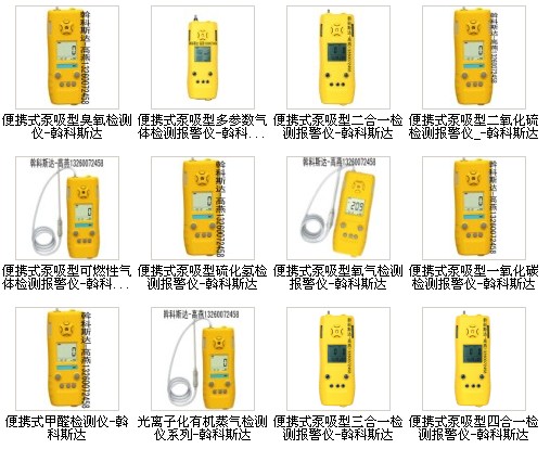 袖珍式毒性氣體檢測儀器  便攜式泵吸型一氧化碳檢測報警儀