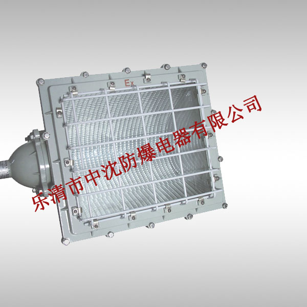 BFC8100一體式防爆泛光燈，BGC8110防爆泛光燈價格，防爆泛光燈廠家