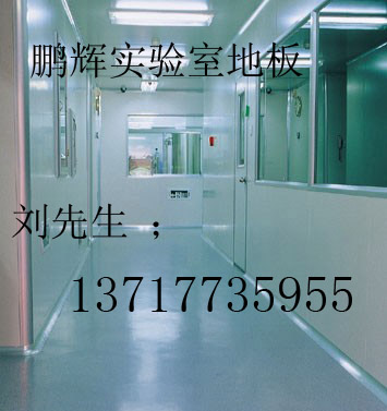 實(shí)驗(yàn)室塑膠地板 實(shí)驗(yàn)室地板材料	實(shí)驗(yàn)室用pvc地板