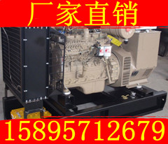 20Kw康明斯柴油發(fā)電機(jī)組4B3.9-G2