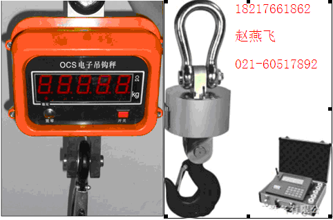 潛江電子吊稱‖吊磅*潛江耐高溫吊秤【1噸2噸3噸5噸10噸15噸20噸30噸】