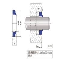 臺(tái)灣鼎基DZ-往復(fù)運(yùn)動(dòng)防塵密封圈DH04系列