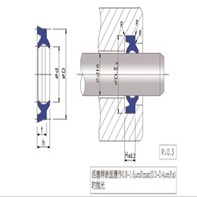 臺(tái)灣鼎基DZ-往復(fù)運(yùn)動(dòng)防塵密封圈DH03系列