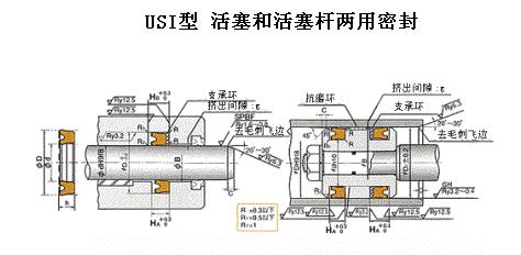 USI活塞活塞桿雙用密封-NOK密封