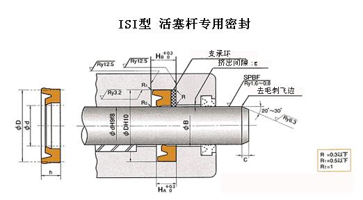 ISI活塞桿  密封件 日本NOK密封