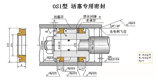 日本NOK密封 OSI活塞專用 液壓密封件