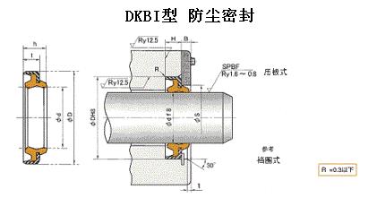 日本NOK密封   DKBI往復(fù)運動防塵密封件