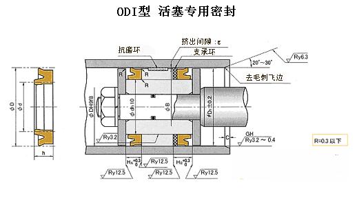 ODI型 活塞專用密封  NOK日本密封件 ODI密封圈