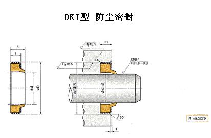 DKI型防塵密封  DKI往復(fù)運動防塵密封件 NOK