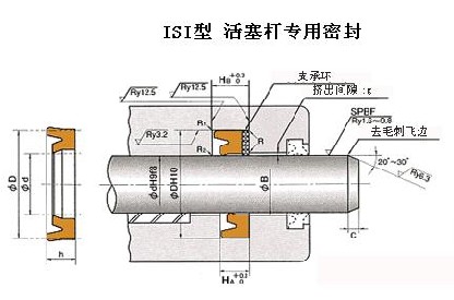 ISI活塞桿密封件 &nbspNOK液壓密封件  日本NOK