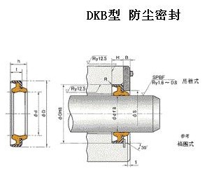 DKB型防塵密封件  DKB防塵密封件   NOK密封件