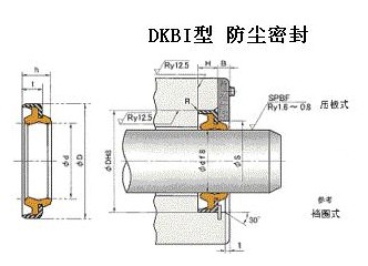 DKBI型往復(fù)運動防塵密封件   日本NOK液壓密封件  北京中興利得